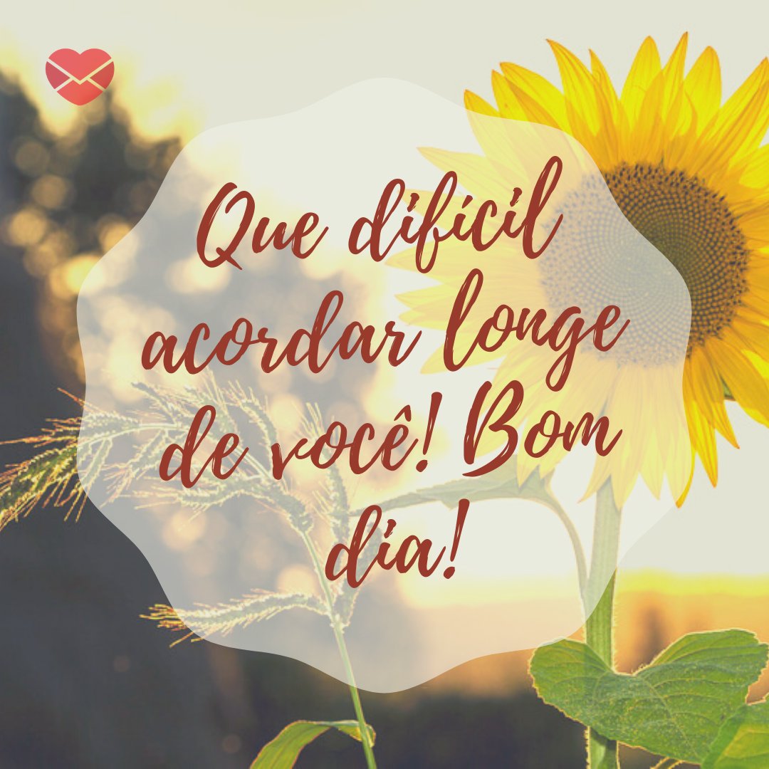 'Que difícil acordar longe de você! Bom dia!' - Mensagens românticas de bom dia