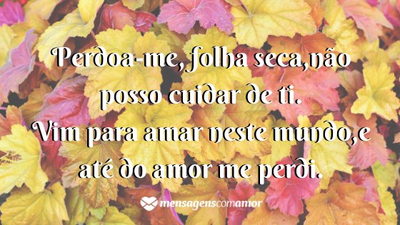 'Perdoa-me, folha seca, não posso cuidar de ti. Vim para amar neste mundo, e até do amor me perdi.' - Um poema para cada mês