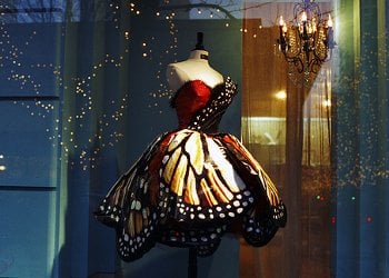Fantasia de borboleta em vitrine.