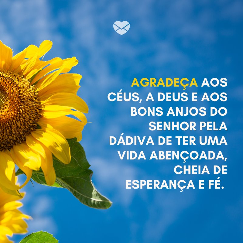 Agradeça a Deus - Deus sabe o que faz e traz - Fé Agradeça a Deus - Deus sabe o que faz e traz - Fé