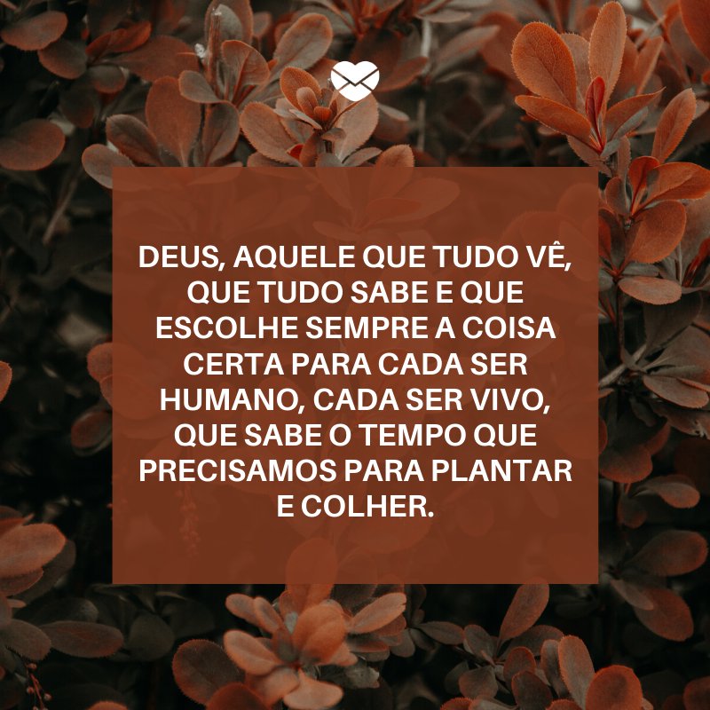 'Deus, aquele que tudo vê, que tudo sabe e que escolhe sempre a coisa certa para cada ser humano, cada ser vivo, que sabe o tempo que precisamos para plantar e colher.' -Deus sabe o que faz e traz