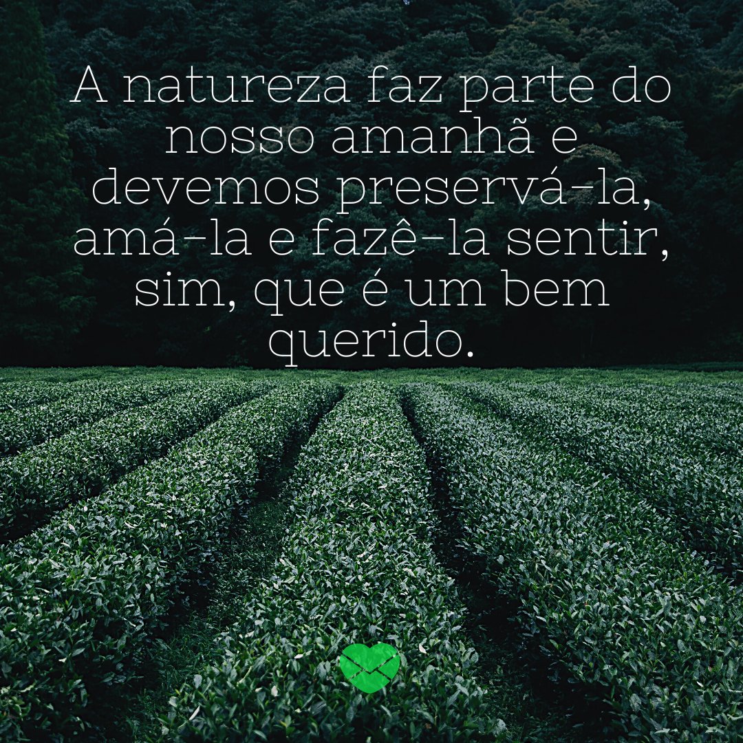 'A natureza faz parte do nosso amanhã e devemos preservá-la, amá-la e fazê-la sentir, sim, que é um bem querido.' - 20 frases sobre amar a natureza