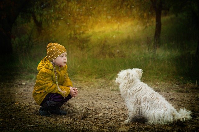 Menina agachada em floresta, olhando para cachorro sentado em sua frente.