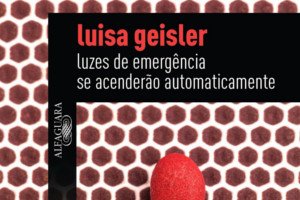 Luzes de emergência se acenderão automaticamente - Luisa Geisler ...