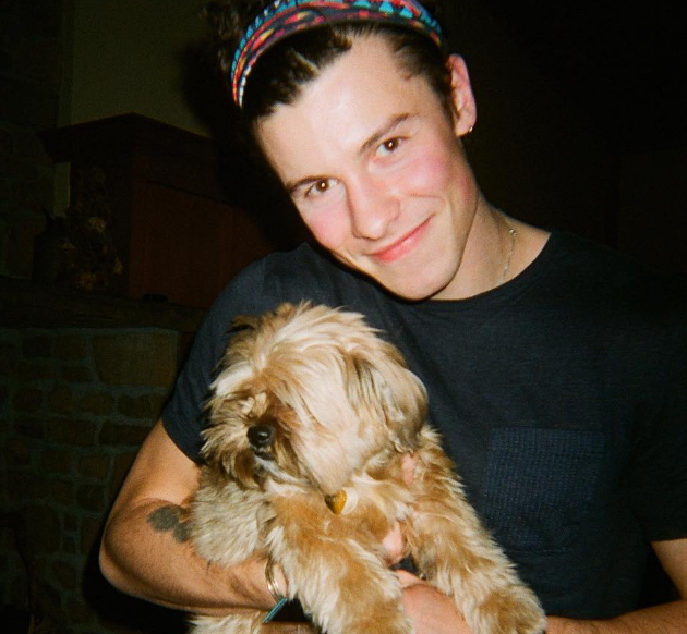 Shawn Mendes com um cachorro.