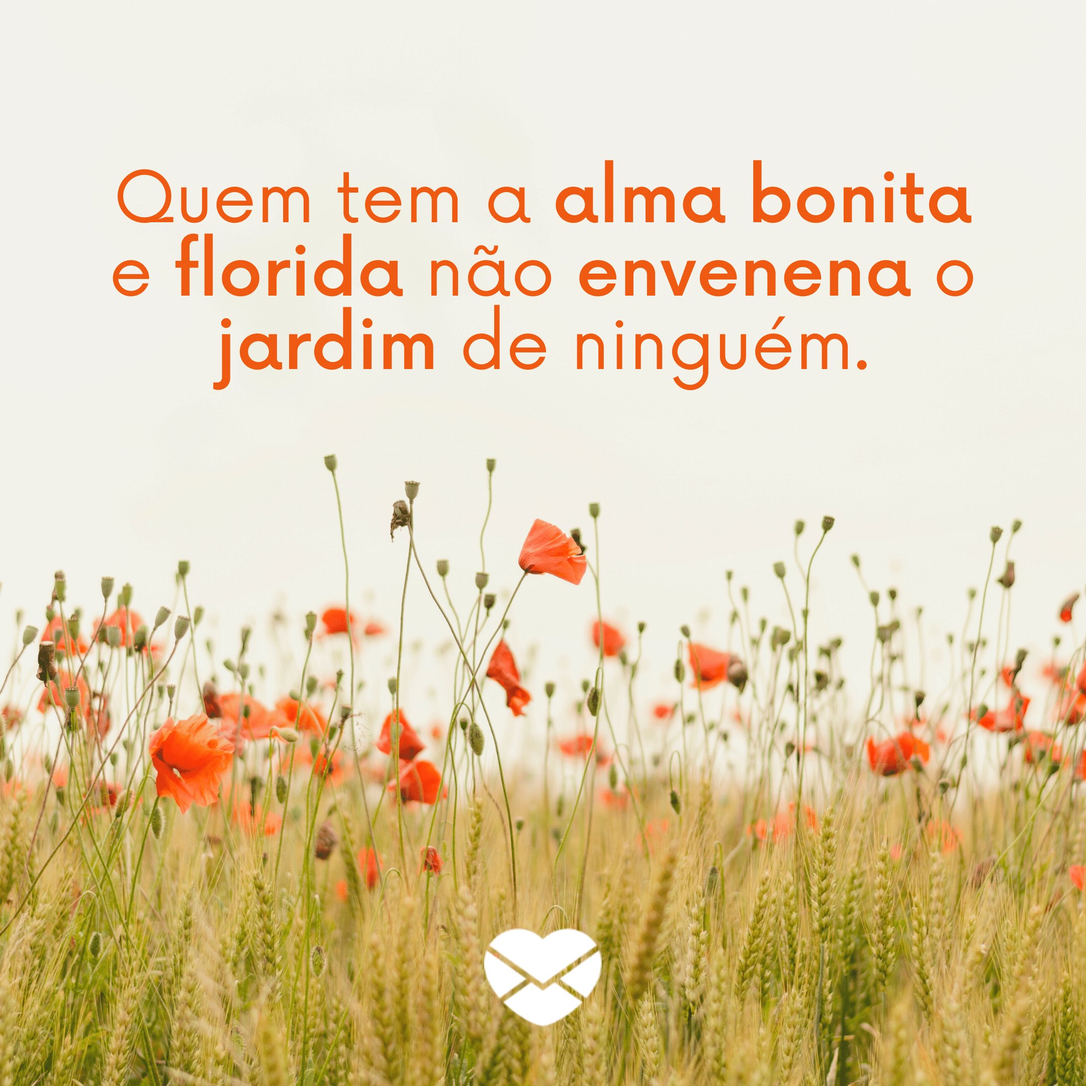 Mensagens com Amor - Canva 'Quem tem a alma bonita e florida não envenena o jardim de ninguém.' - Não fale mal das pessoas