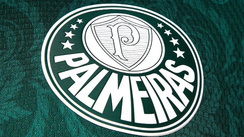 Foto do símbolo do Palmeiras
