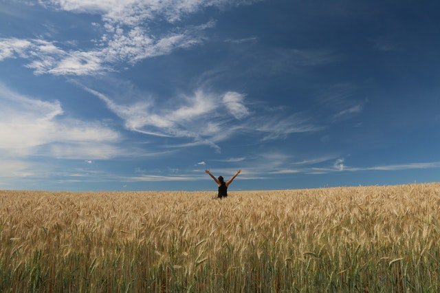 Pessoa sozinha em campo de trigo, com os braços abertos para o alto. O céu está azul com poucas nuvens.