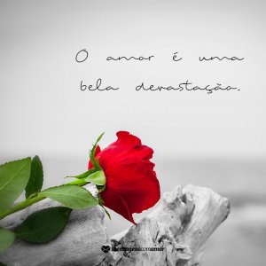 MensagensComAmor 'O amor é uma bela devastação' - 12 definições sobre o amor