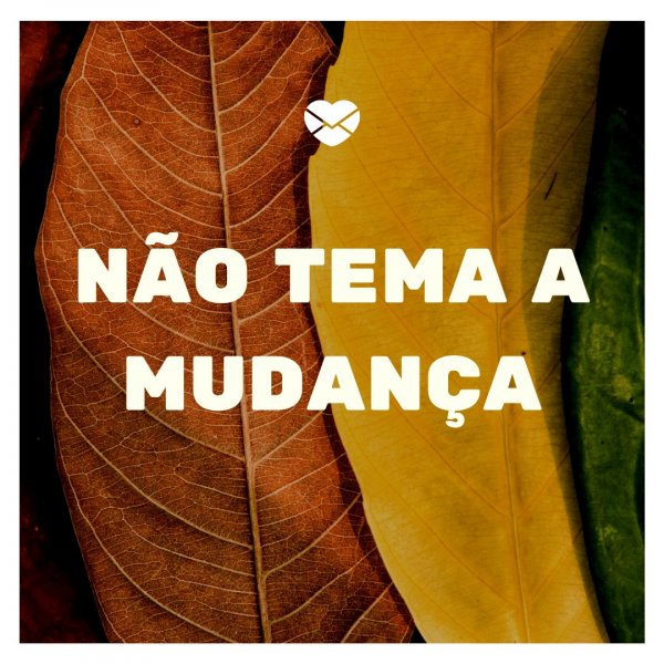 Mensagens Com Amor/Canva 'Não tema a mudança' - Ciclos são aprendizados