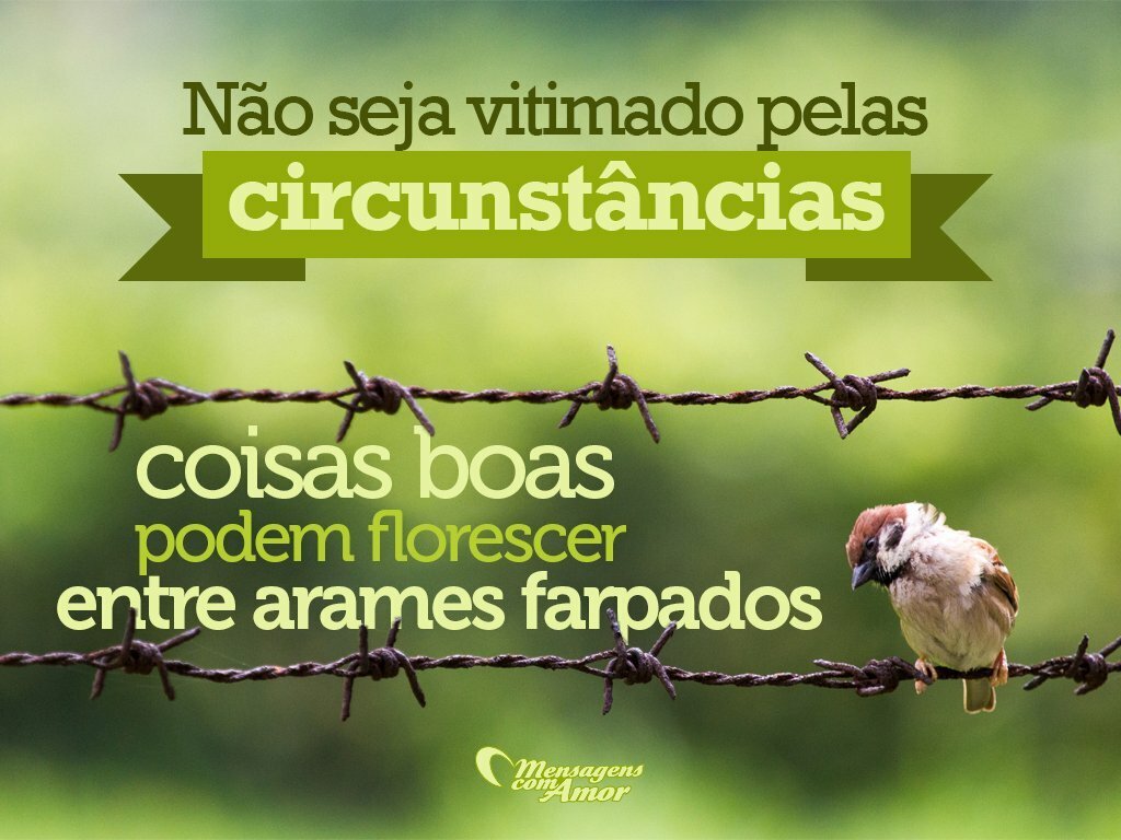 Depende de você - 10 motivos para investir em autoconhecimento - Autoajuda