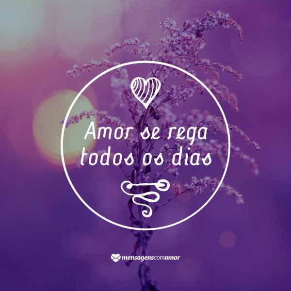 Canva | Mensagens com Amor 'Amor se rega todos os dias.' - 9 razões por que amo o nosso amor