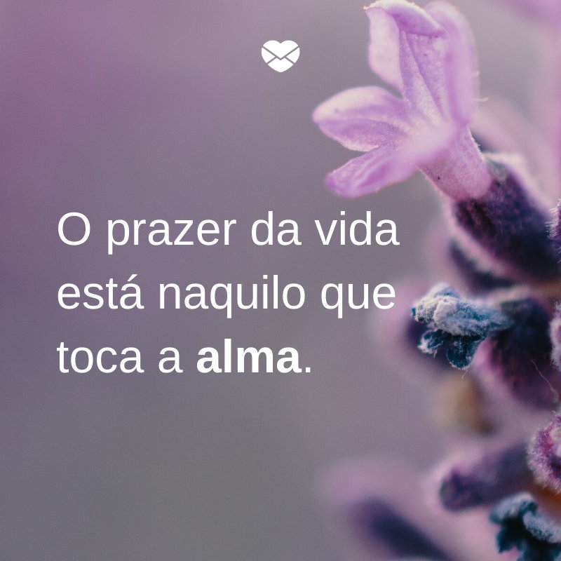 'O prazer da vida está naquilo que toca a alma.' -10 motivos para colocar a alma em primeiro lugar