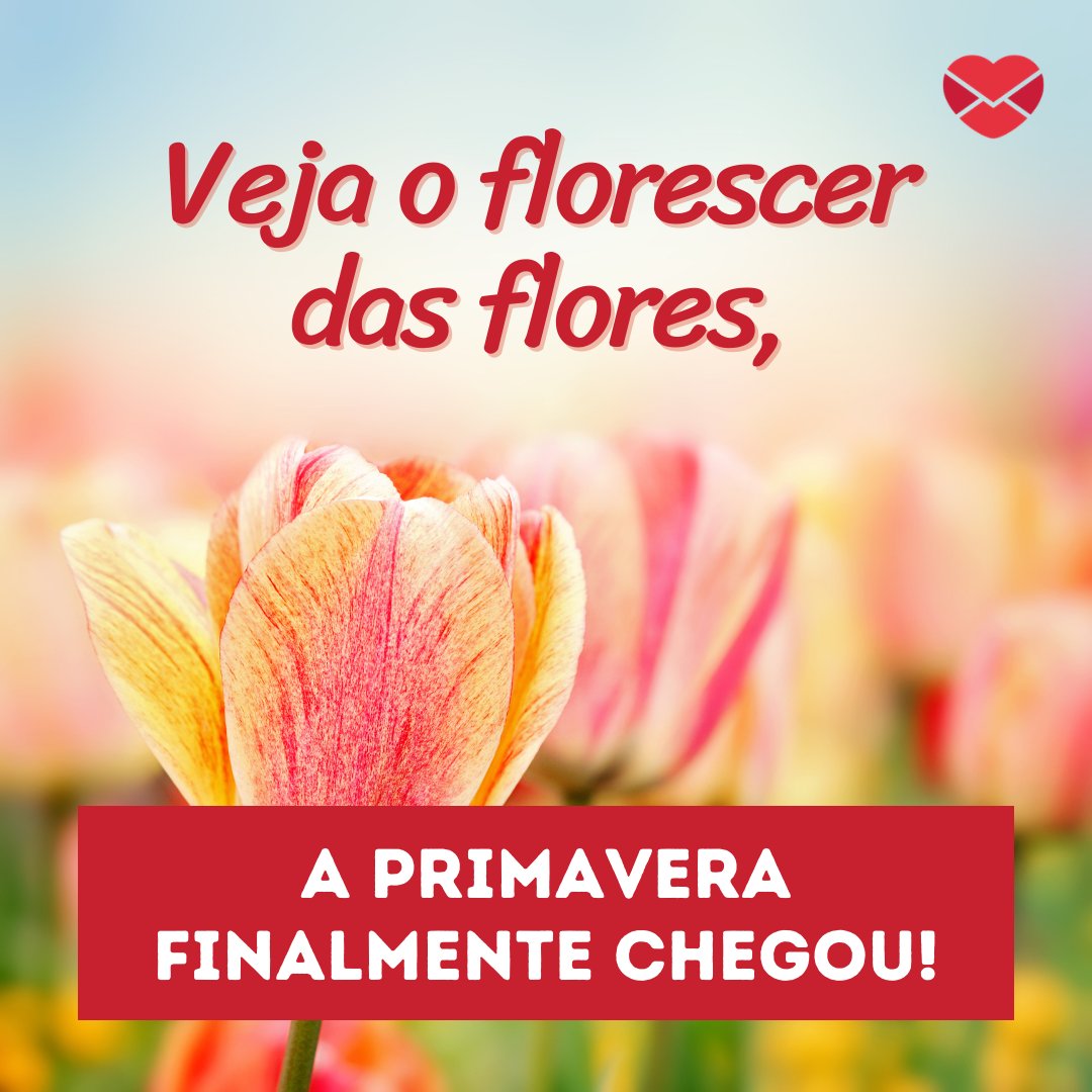 'Veja o florescer das flores, a primavera finalmente chegou!' - Sorria, a primavera chegou!