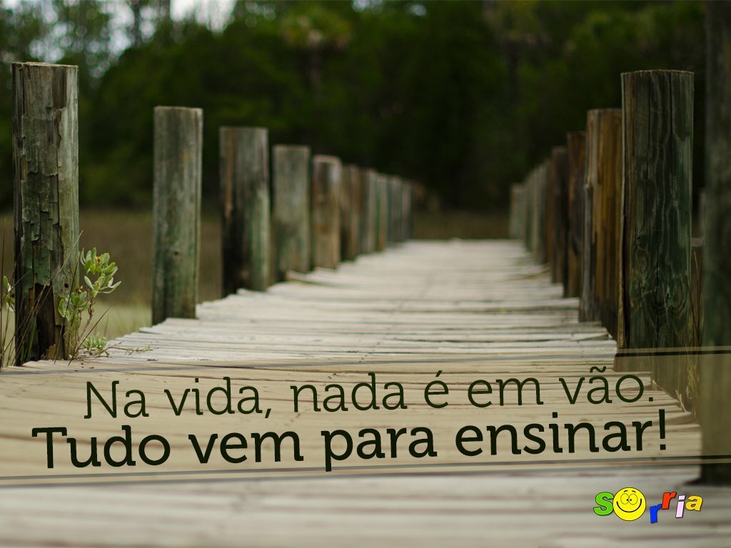 Lições valiosas que a vida ensina. Melhore a cada dia!
