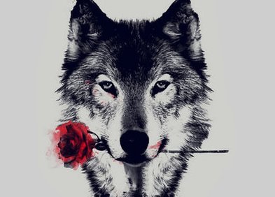 Featured image of post Imagem De Lobo Com Frases / Em linha com a imagem de lutar com o lobo, uma garra do lobo tatuagem simboliza a sua coragem em uma batalha emocional, espiritual, mental ou física.