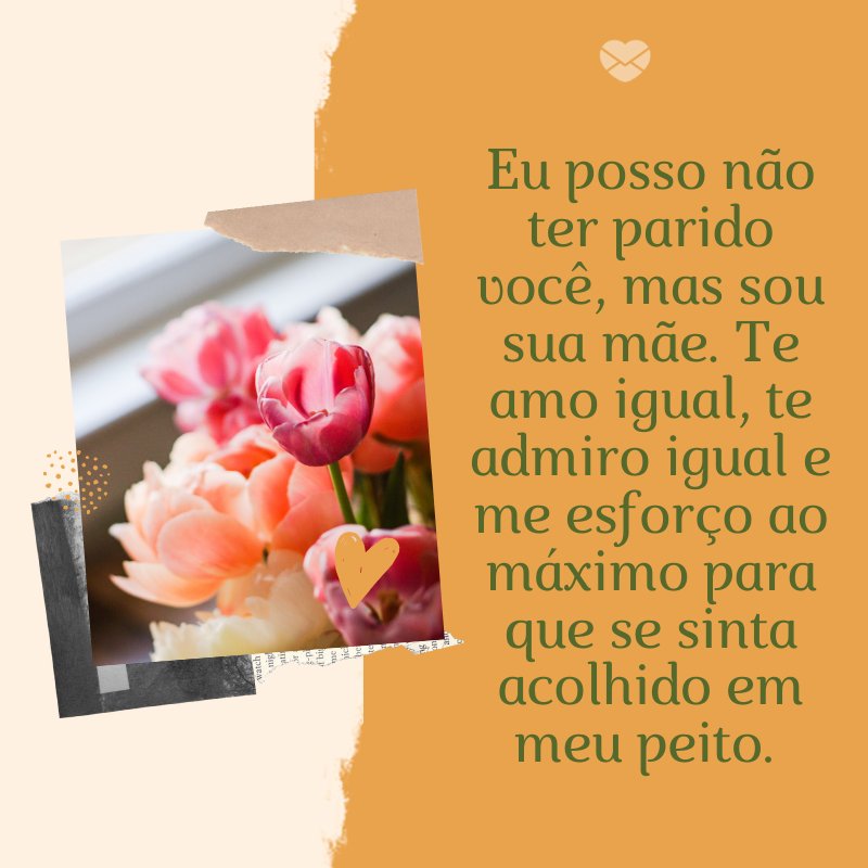 'Eu posso não ter parido você, mas sou sua mãe. Te amo igual, te admiro igual e me esforço ao máximo para que se sinta acolhido em meu peito. ' -Mensagens de mãe para filha