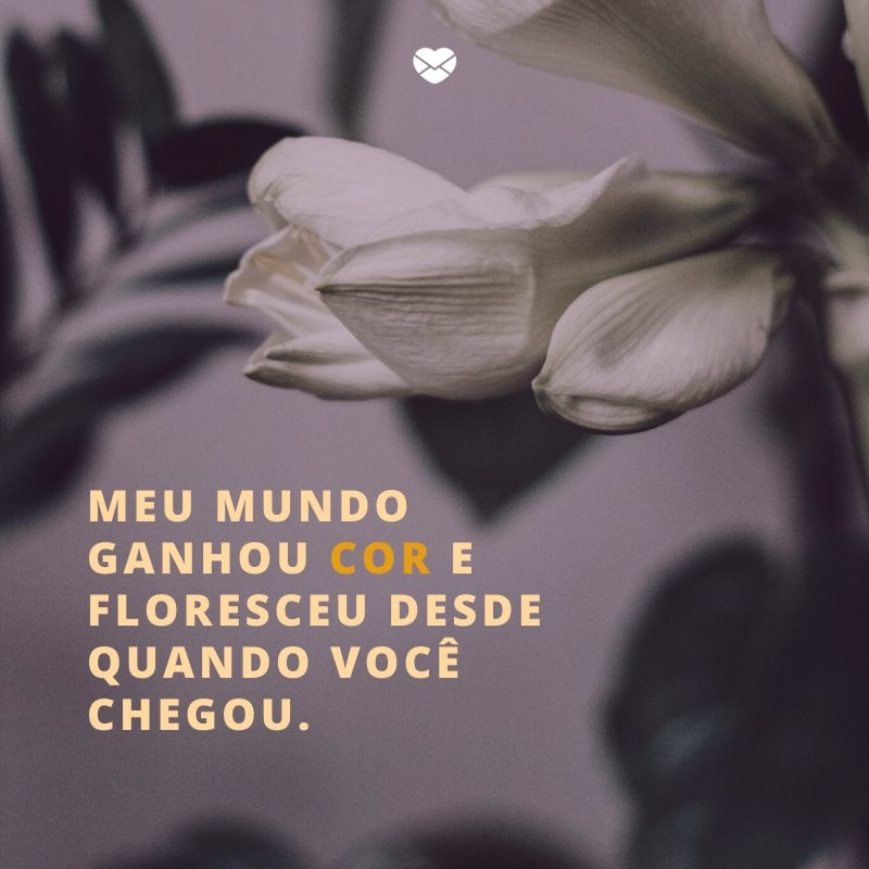 Mensagens Com Amor/ Canva 'Meu mundo ganhou cor e floresceu desde quando você chegou. ' -Declarações de amor para o namorado