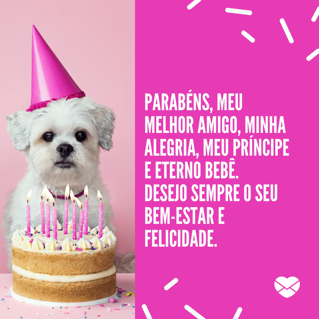 Mensagens de aniversário para o cachorro. Seja amoroso!
