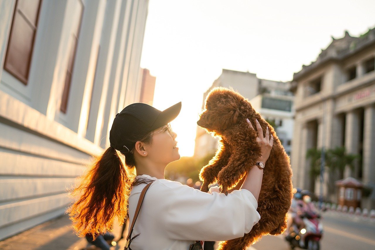 Mulher segurando cachorro no meio da rua