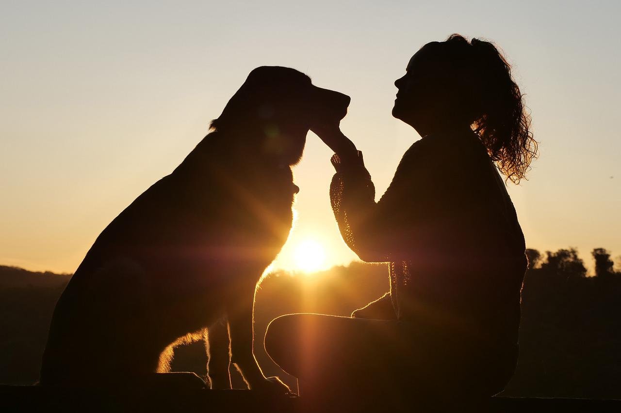 Silhueta de garota fazendo carinho em cachorro ao pôr do sol