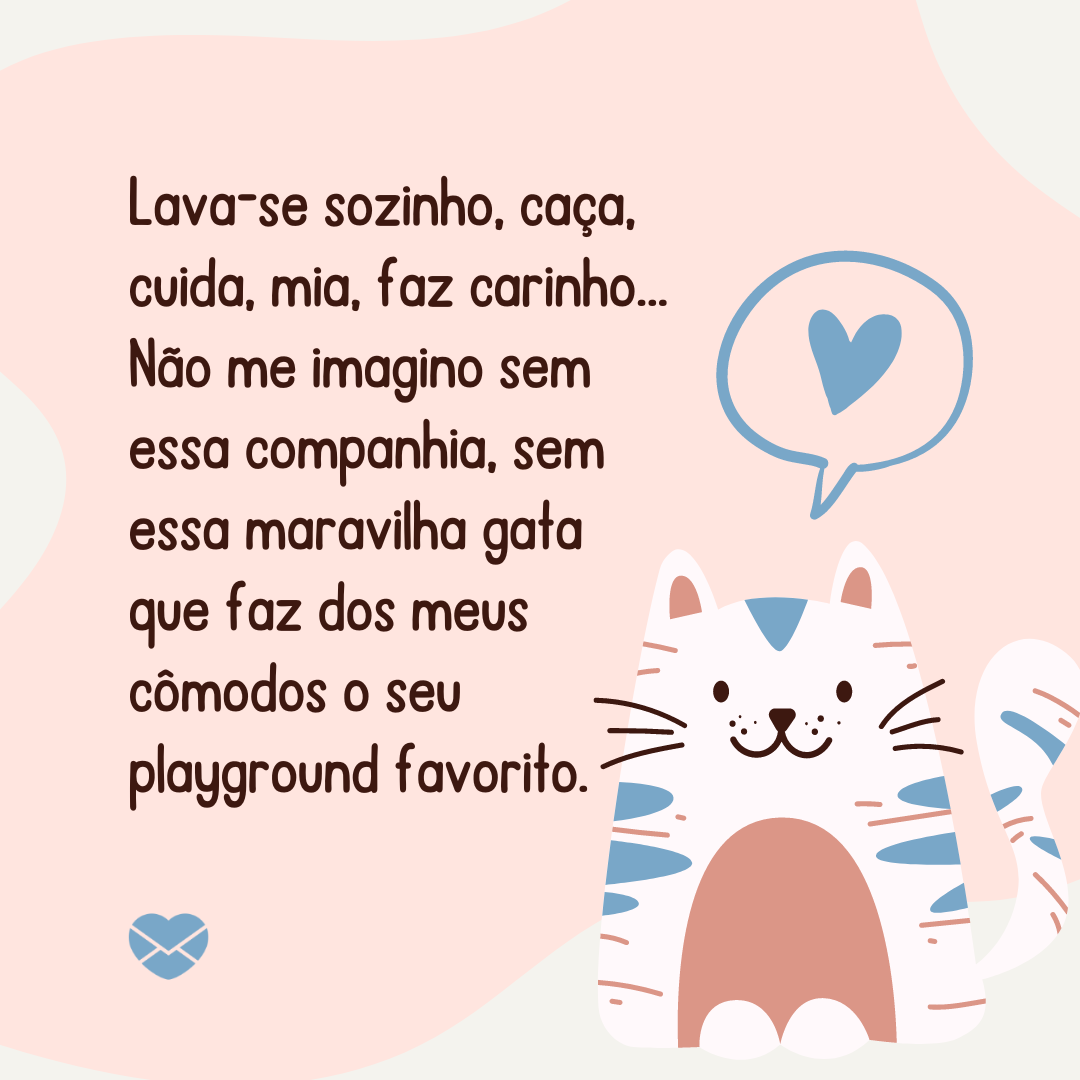 'Lava-se sozinho, caça, cuida, mia, faz carinho... Não me imagino sem essa companhia, sem essa maravilha gata que faz dos meus cômodos o seu playground favorito.' -Declarações de amor para o gato.