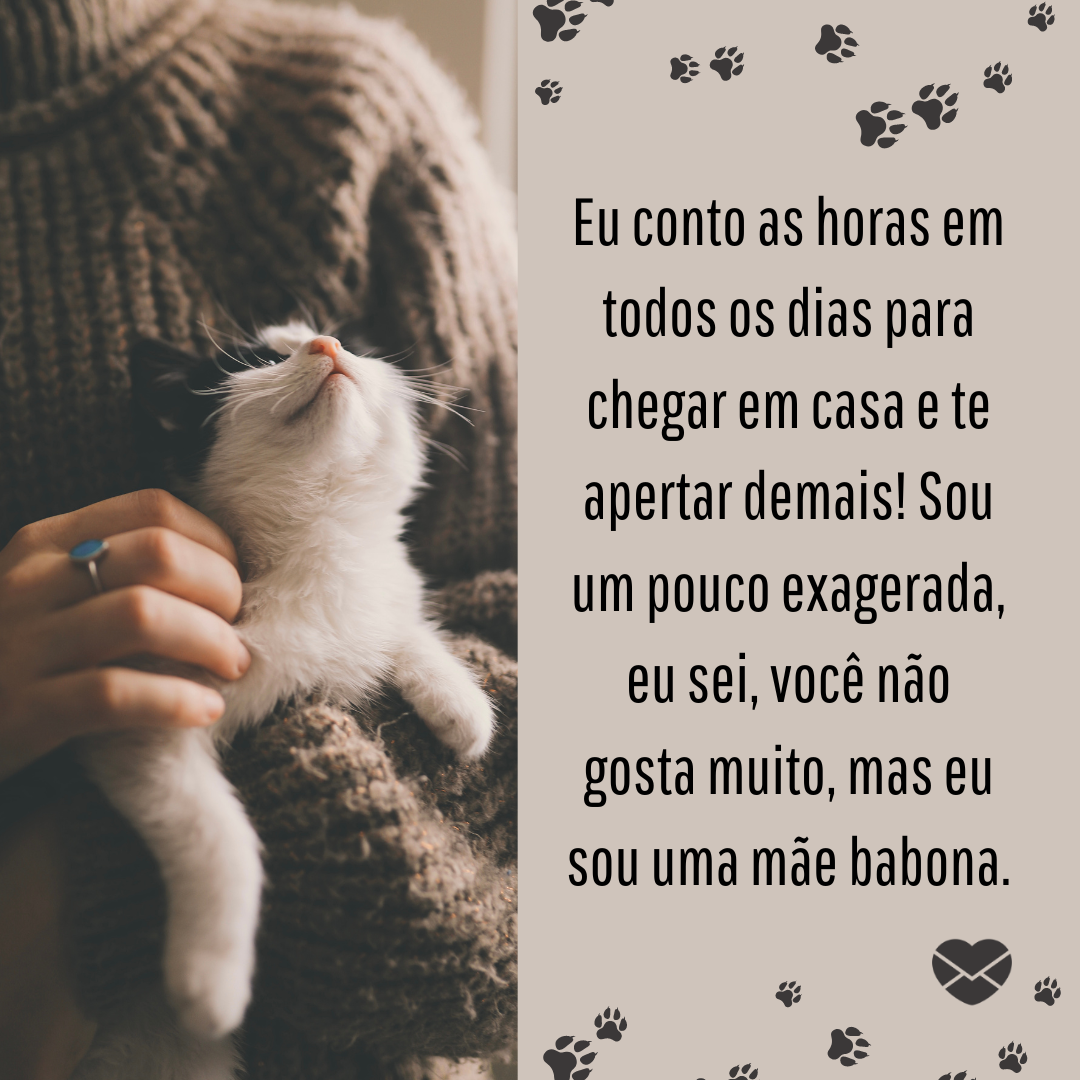 ' Eu conto as horas em todos os dias para chegar em casa e te apertar demais! Sou um pouco exagerada, eu sei, você não gosta muito, mas eu sou uma mãe babona.'- Declarações de amor para o gato.