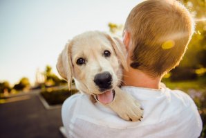 Mulher loira em rua com seu cachorro