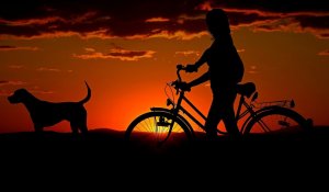 Mensagens Com Amor/Canva 'Já que você é o meu melhor amigo, prometo ser sempre seu lar!' - Legendas para foto com cachorro