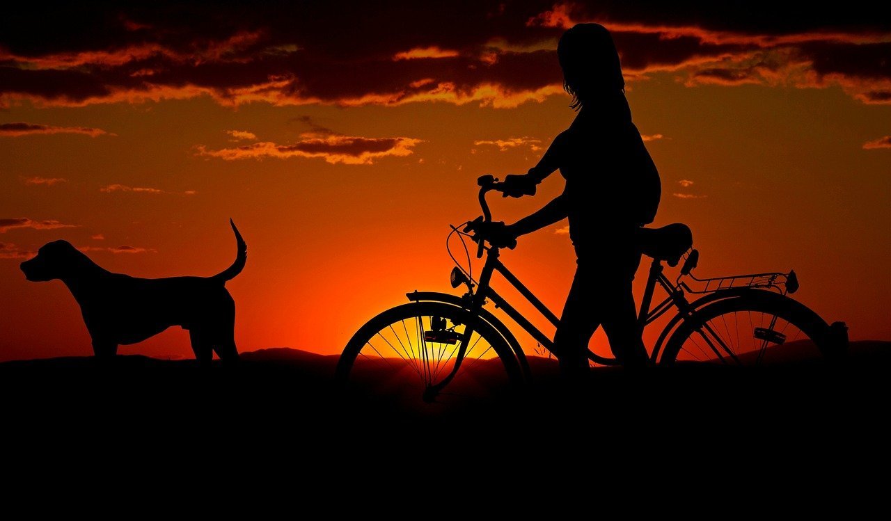 Silhueta de pessoa andando de bicicleta com um cachorro no entardecer