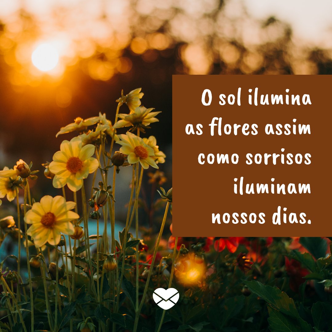 'O sol ilumina as flores assim como sorrisos iluminam nossos dias.' - Dia das Flores 🌻