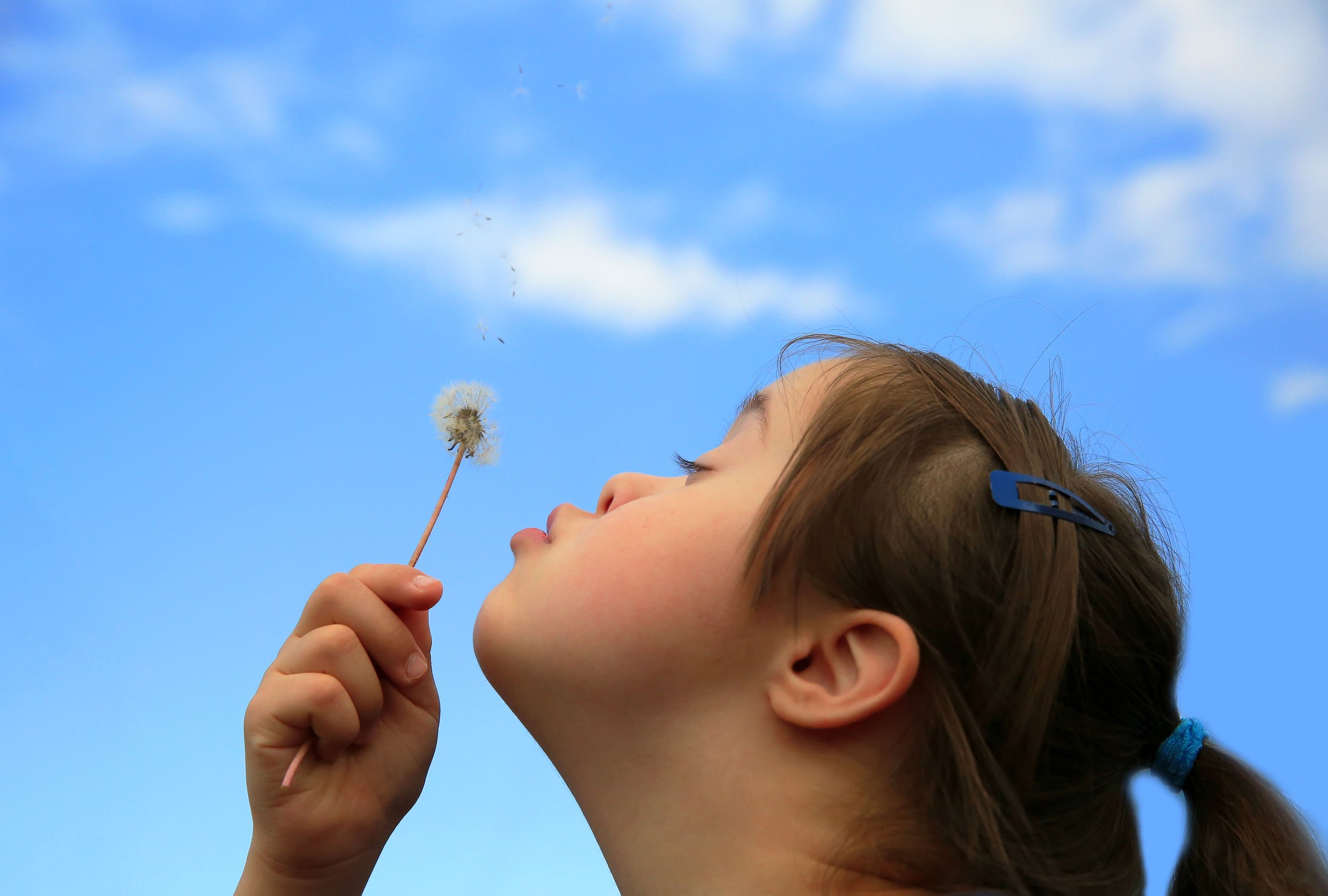 Garota com Síndrome de Down assoprando flor dente-de-leão com céu azul ao fundo
