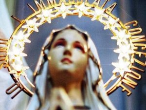 Reprodução Imagem de Nossa Senhora de Lourdes.