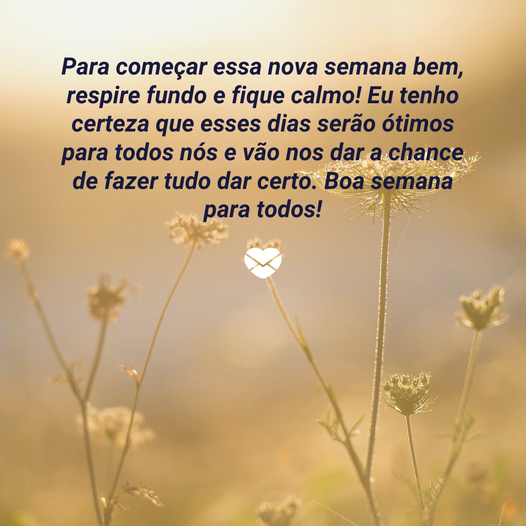 'Para começar essa nova semana bem, respire fundo e fique calmo! Eu tenho certeza que esses dias serão ótimos para todos nós e vão nos dar a chance de fazer tudo dar certo. Boa semana para todos!' - Mensagens de boa semana