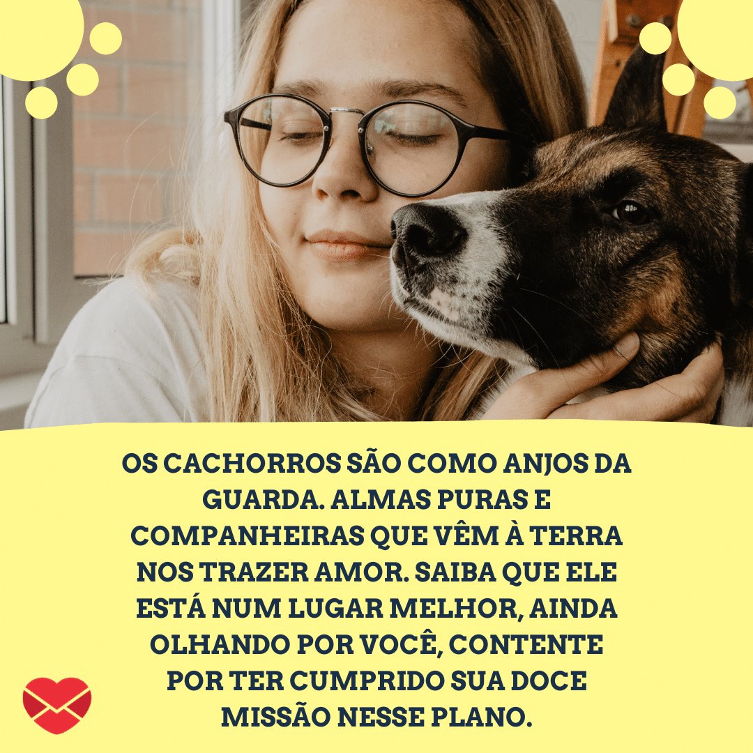 'Os cachorros são como anjos da guarda. Almas puras e companheiras que vêm à Terra nos trazer amor. Mas, por serem tão iluminados, têm passagem curta por aqui. Sei que agora você está...' -  Mensagens de luto para quem perdeu o cachorro