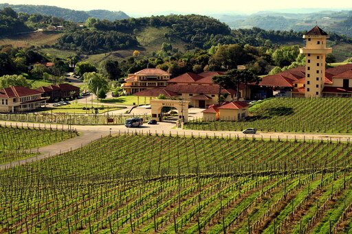 Vale dos Vinhedos no Rio Grande do Sul