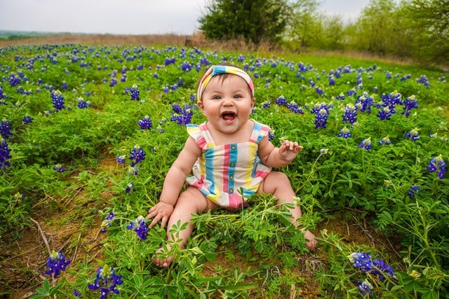 Bebê sentada em campo com flores roxas sorrindo