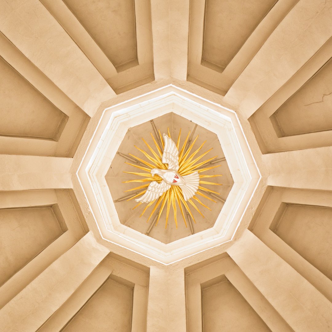 Imagem de uma pomba branca desenhada no teto de uma catedral