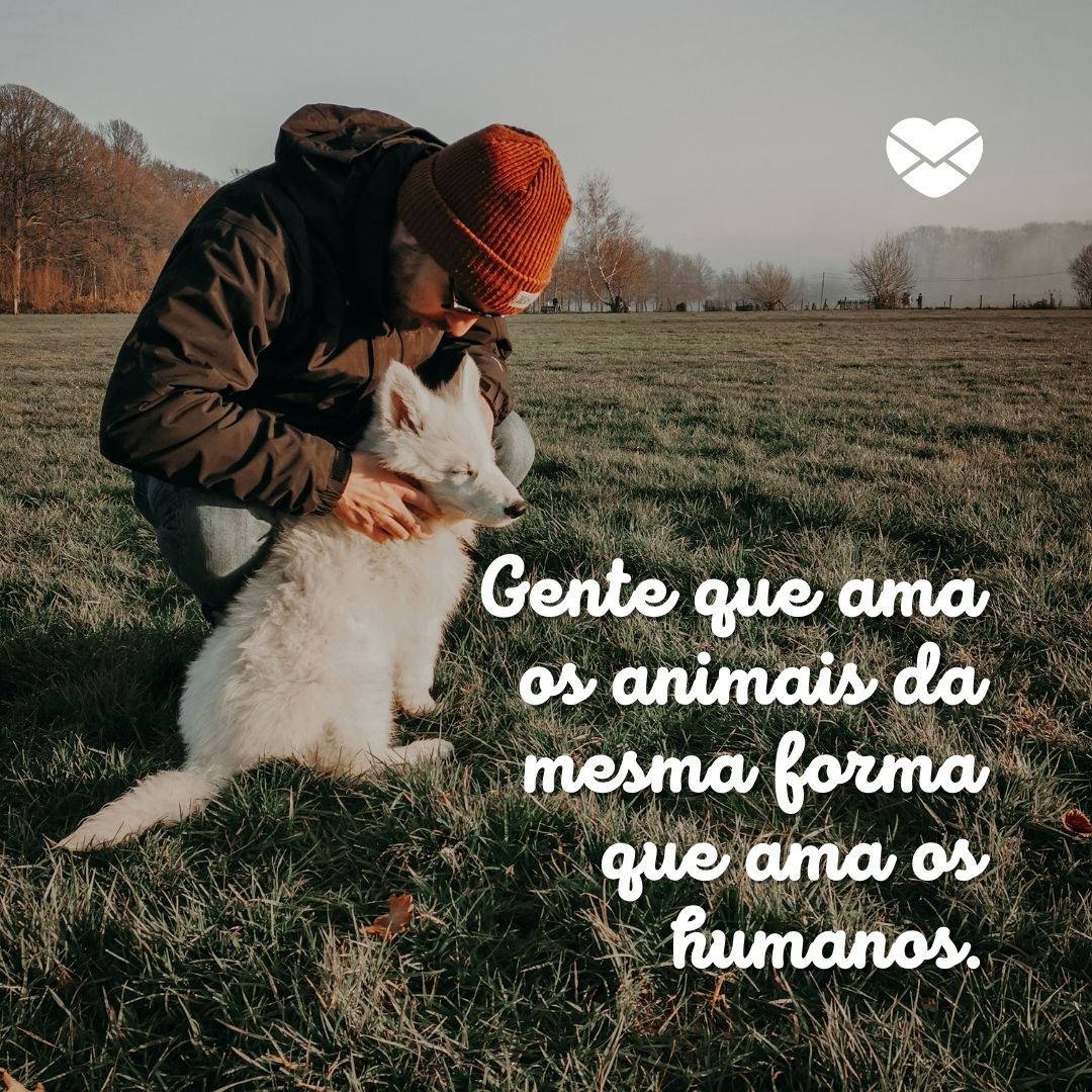 'Gente que ama os animais da mesma forma que ama os humanos.' - Frases de Indiretas do Bem