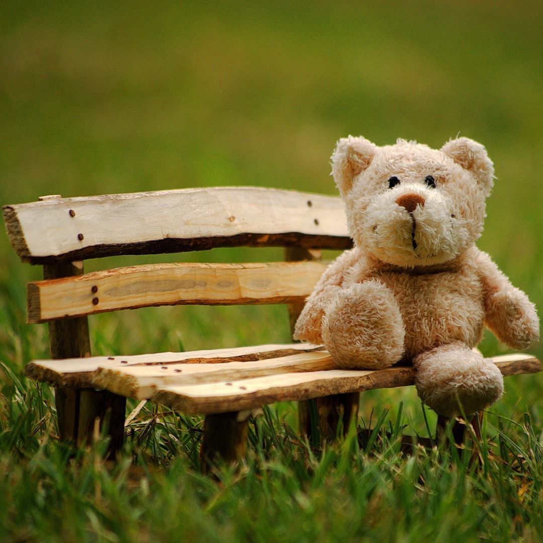 Ursinho de pelúcia sentado em um banco de madeira