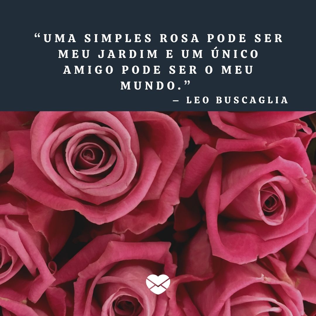 “ 'Uma simples rosa pode ser meu jardim e um único amigo pode ser o meu mundo.' – Leo Buscaglia“ - Frases de Amizade
