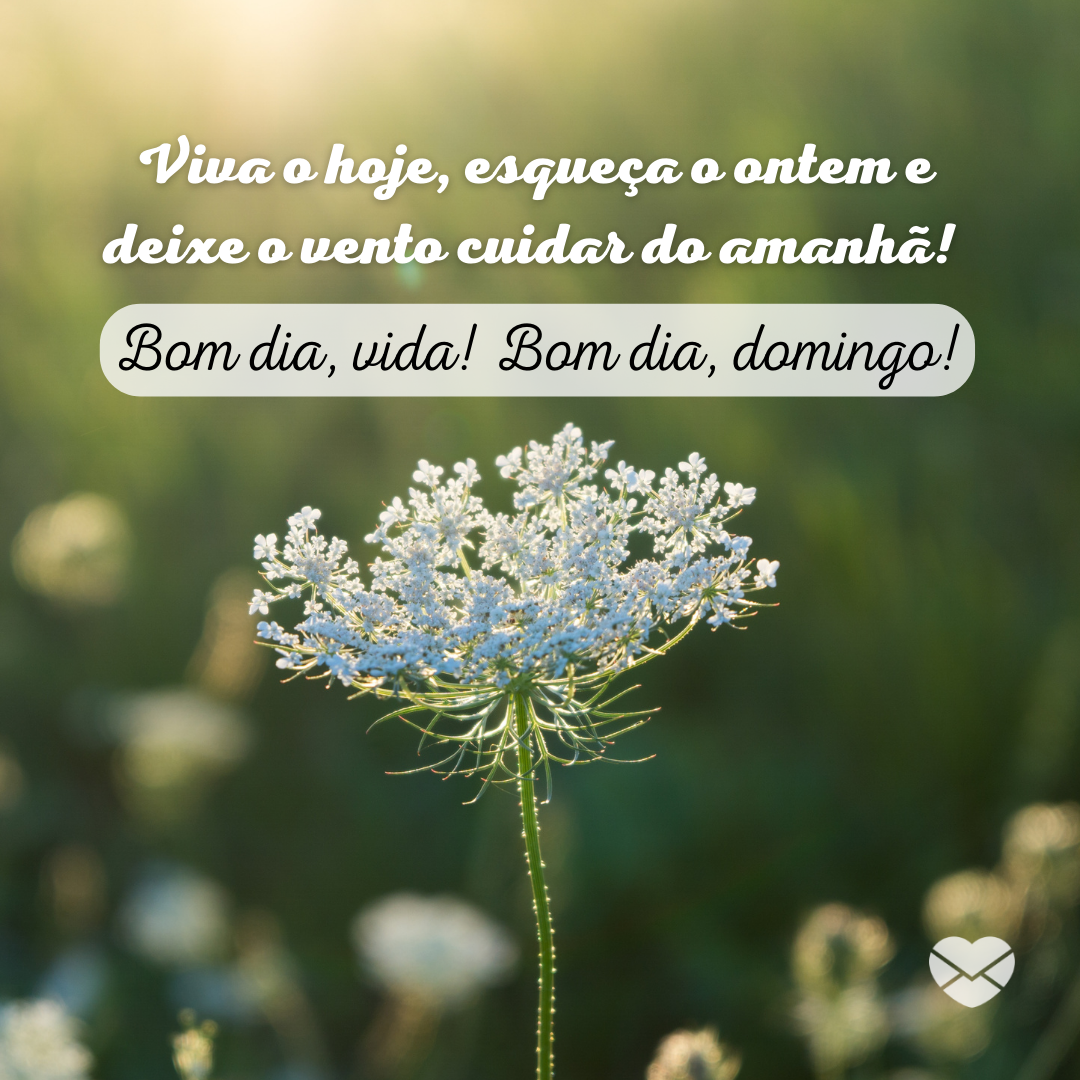 Viva - Mensagem de bom dia domingo - Bom dia Viva - Mensagem de bom dia domingo - Bom dia