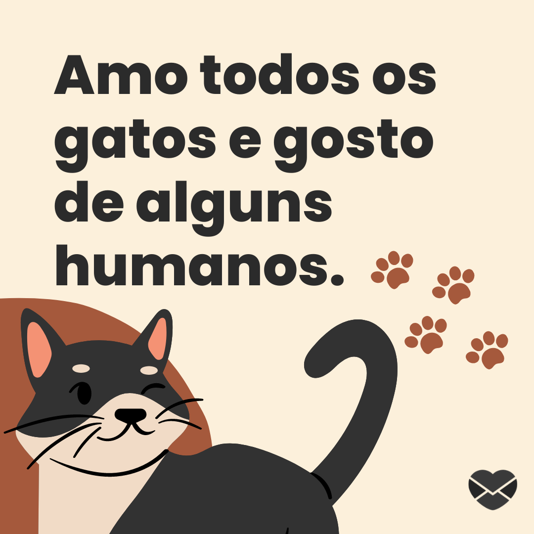 'Amo todos os gatos e gosto de alguns humanos.' - Frases legais para status