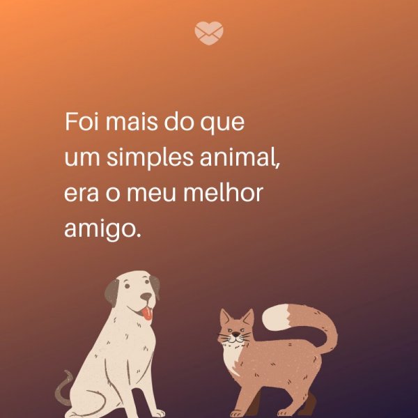 Mensagens Com Amor/ Canva 'Foi mais do que um simples animal, era o meu melhor amigo.' -Legendas para TBT