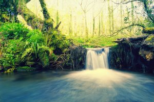 Rio com queda d'água na floresta