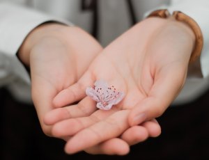 Mãos estendidas segurando uma flor