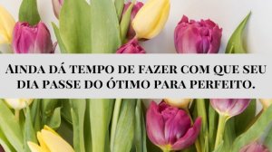'Ainda dá tempo de fazer com que seu dia passe do ótimo para perfeito.' - Mensagem de boa tarde com flores
