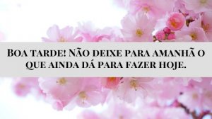 'Boa tarde! Não deixe para amanhã o que ainda dá para fazer hoje.' - Mensagem de boa tarde com flores