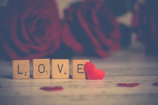palavra amor escrita em cubos de madeira perto de flores vermelhas