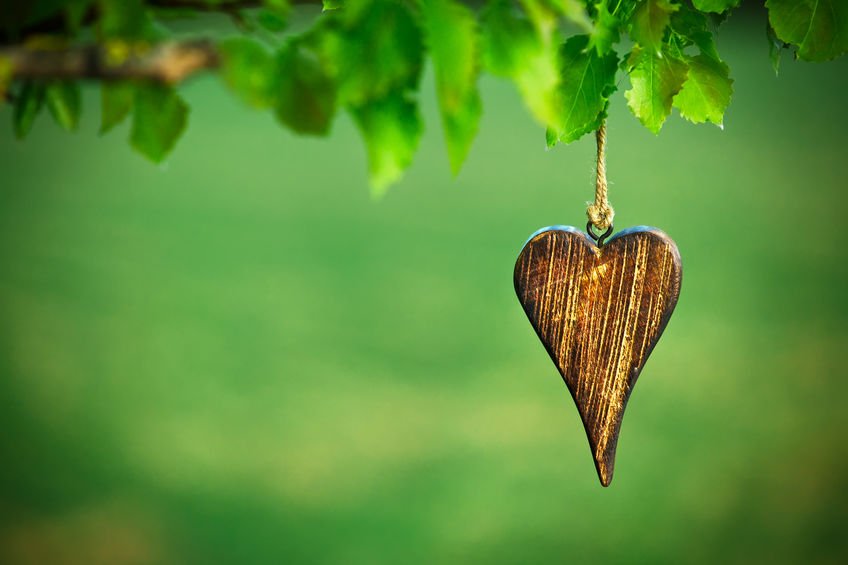 Coração de madeira em árvore